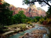 What to do Zion National Park?